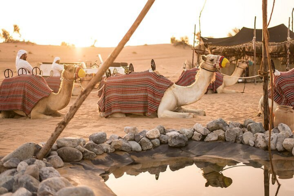 Bedouin traditions in desert safari near Fujairah, Dubai