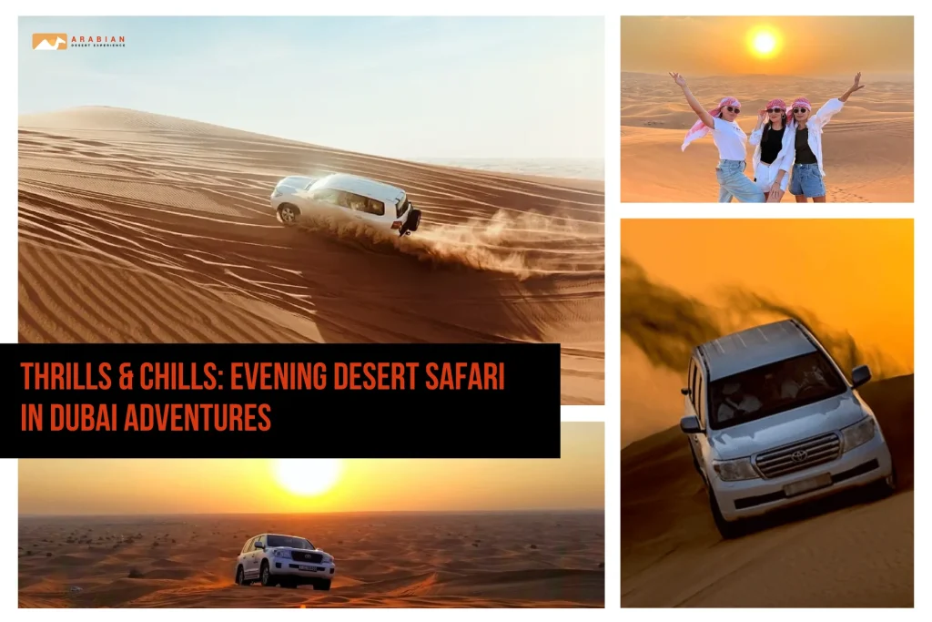 Thrills & Chills: Evening Desert Safari in Dubai Adventures