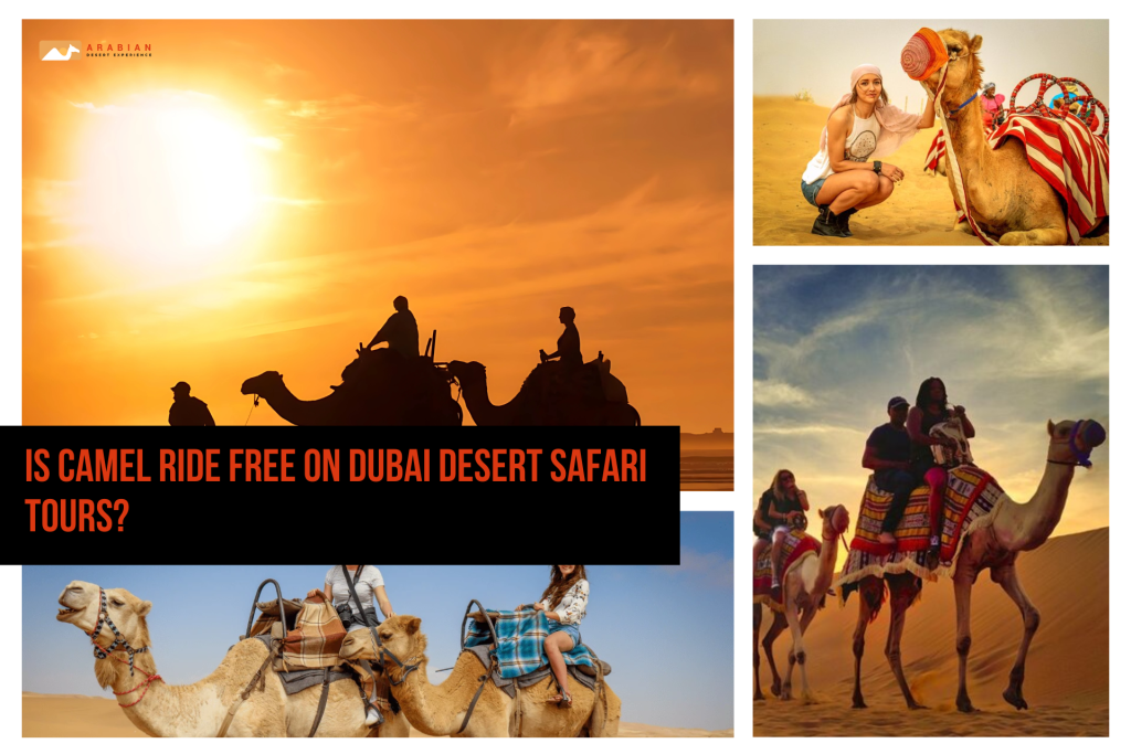 Is camel ride free on dubai desert safari tours?