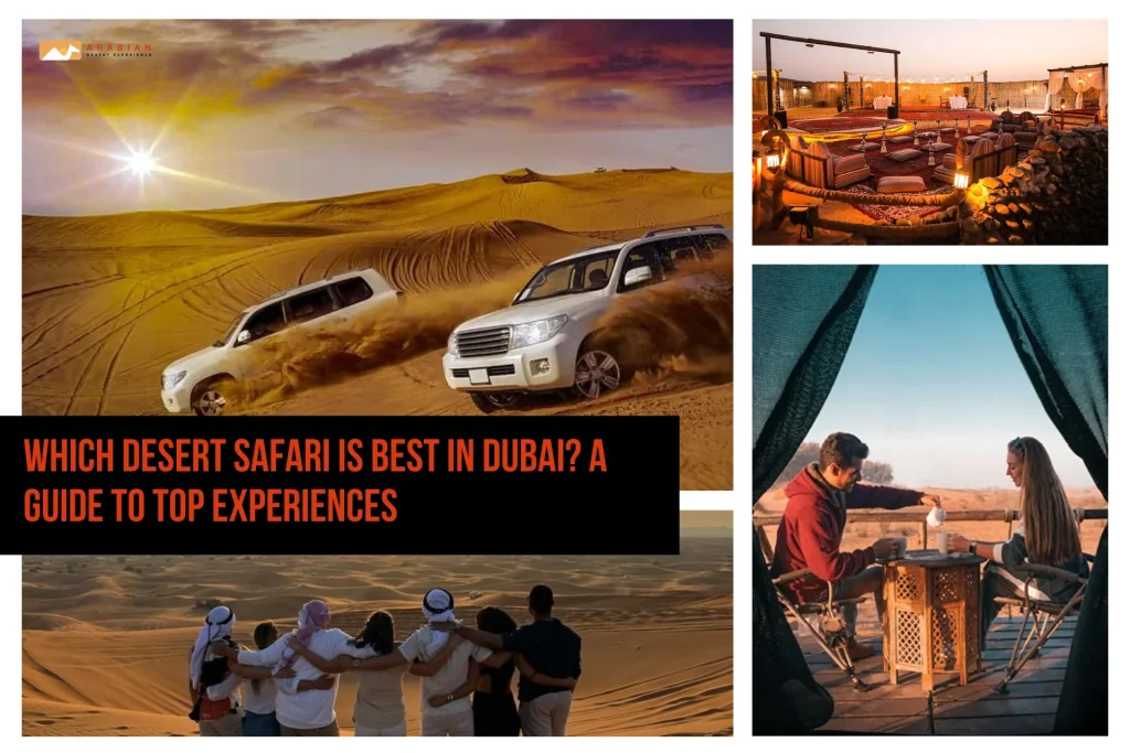 Which Desert Safari Is Best in Dubai? A Guide to Top Experiences