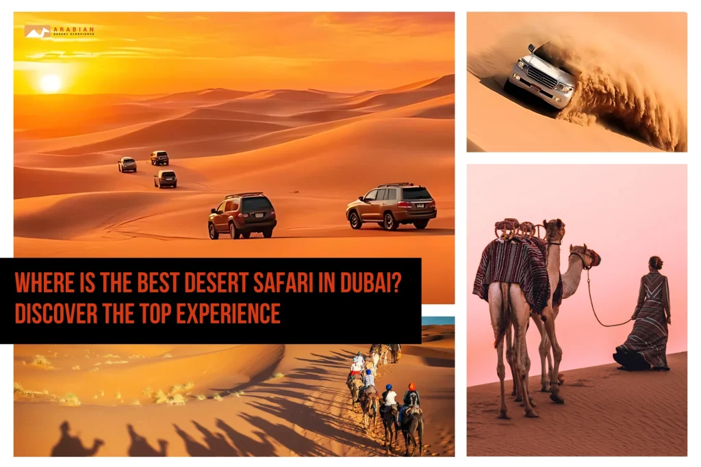 Where Is the Best Desert Safari in Dubai? Discover the Top Experience