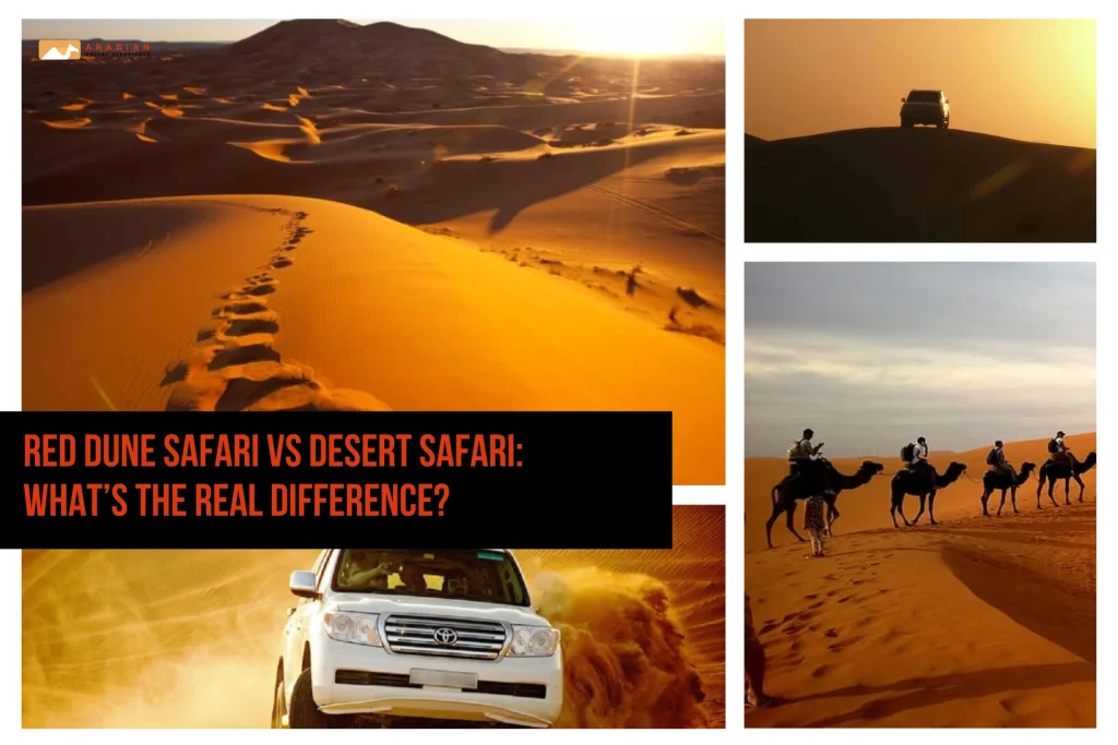 Red Dune Safari vs Desert Safari: What’s the Real Difference?