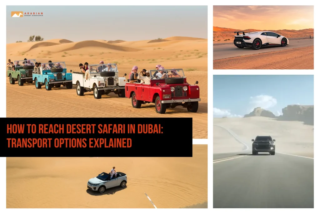 How to Reach Desert Safari in Dubai: Transport Options Explained