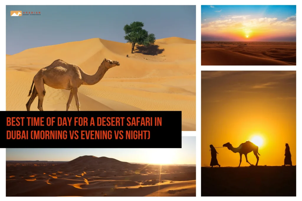 Best time of day for a desert safari in dubai