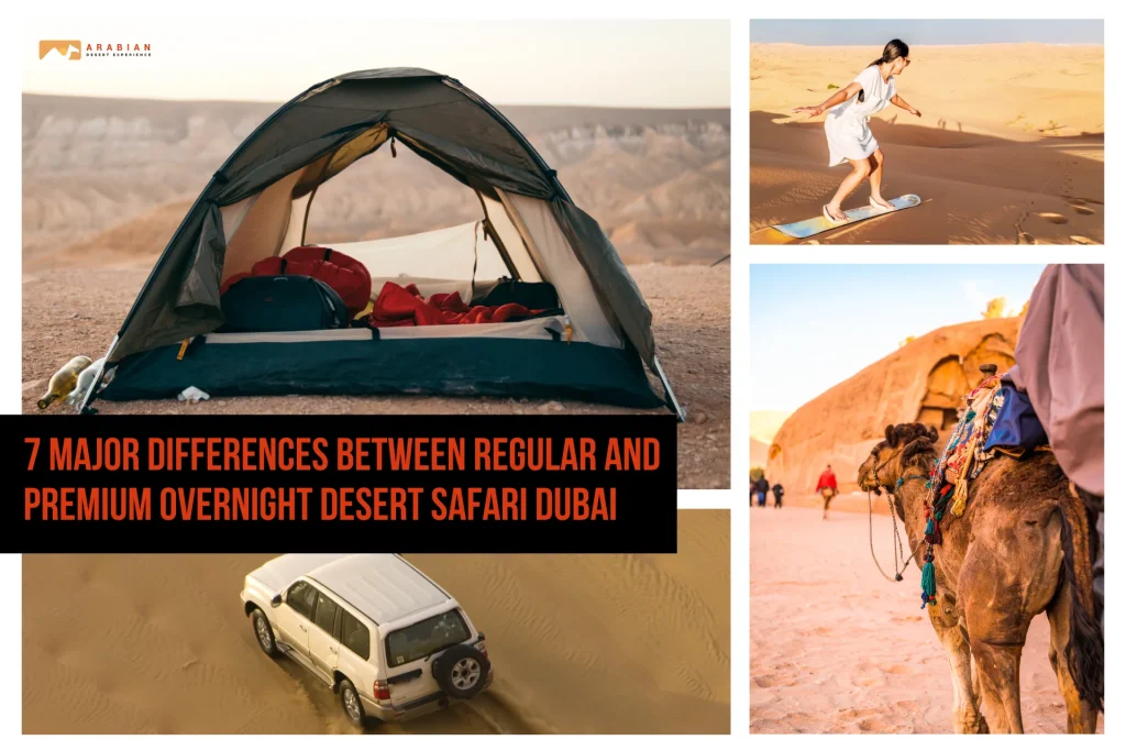 Collage of camel ride, sandboarding, dune bashing, and desert camp tent — illustrating Regular vs Premium Overnight Desert Safari Dubai differences