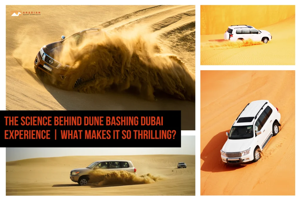 The Science Behind Dune Bashing Dubai Experience | What Makes It So Thrilling? A 4x4 vehicle racing across golden sand dunes during a thrilling dune bashing Dubai experience at sunset.
